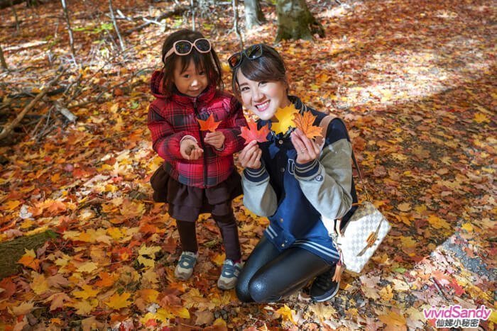 Mont-Saint-Bruno National Park 聖布魯諾國家公園