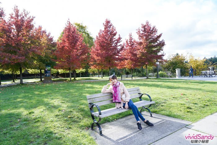 Stanley park 溫哥華 史丹利公園